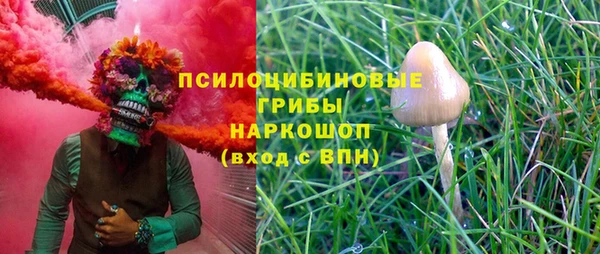 гашиш Новодвинск