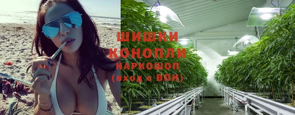 PSILOCYBIN Новокубанск