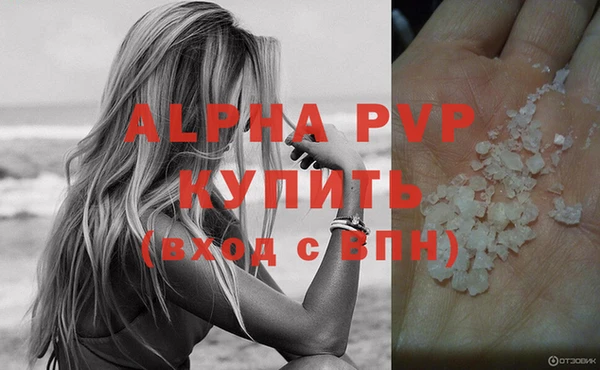 PSILOCYBIN Новокубанск